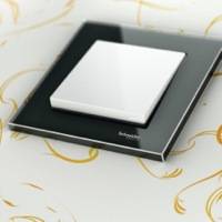 Merten, M-Plan, Стекло, Цвет: Оникс