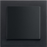 ABB, Busch-axcent PUR, Цвет: Черный матовый / черный бархат