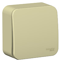 Выключатель открытого монтажа Schneider Electric, Blanca, Цвет: Бежевый