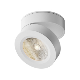 Потолочный светильник, Белый, Technical, Ceiling & Wall
Maytoni,  C022CL-L7W,  белый,  поворотный,   цоколь - встроенная лампа,   мощность - 7 Вт - PULSAL.RU
