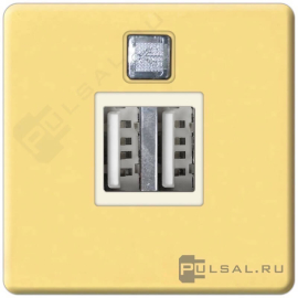 Розетка USB, 2,0 А
Barcelona,  Madrid,  San Sebastian,  Sevilla,  Vintage Wood,  Vintage Corinto,  Vintage Tapestry,  Vintage Porcelain,  Siena,  Firenze,  Granada,  Emporio,  Sanremo,  Belle Epoque,  San Sebastian Surface,  USB type-A 5V,  двойная,   цвет - золото блестящее (bright gold),  металл,  FD-212USBOB-A,  FEDE
 - PULSAL.RU