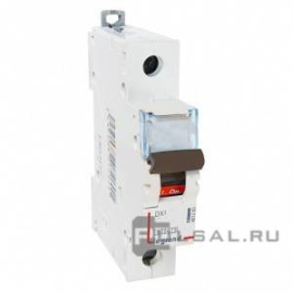 Автоматический выключатель DX³, 1 полюс, 63А, D, 10 кА, 407977, Legrand - PULSAL.RU
