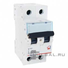 Автоматический выключатель TX³, 2 полюса, 20А, B, 6 кА, 403987, Legrand - PULSAL.RU