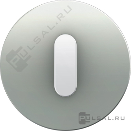 Накладка с белой ручкой
R.Classic,   цвет - алюминий матовый,  металл,  1001207400,  10 01 2074 00,  Berker
 - PULSAL.RU