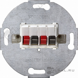 Механизм розетки акустической
R.1,  R.3,  R.8,  R.Classic,  K.1,  K.5,  Q.1,  Q.3,  Q.7,  S.1,  B.3,  B.7,  1930,  Glas,  2 пары,   цвет - белый матовый,  пластмасса,  457309,  4573 09,  Berker
 - PULSAL.RU