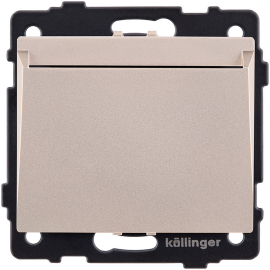 Карточный выключатель
Aspekt,  Eleganz,  Reflex,  без подсветки,   цвет - золотой,  пластмасса,  REA-041GD,  Kollinger
 - PULSAL.RU