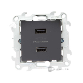 Розетка USB, 2,1А
Simon 24 Harmonie,  USB type-A 5V,  двойная,   цвет - графит,  пластмасса,  2411096-038,  Simon
 - PULSAL.RU