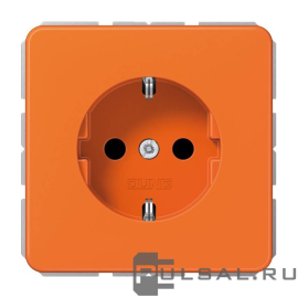 Розетка
CD 500,  CD ударопрочная,  без шторок,  с заземлением,  одинарная,  безвинтовые клеммы,   цвет - оранжевый,  пластмасса,  CD1520BFO,  CD 1520 BF O,  JUNG
 - PULSAL.RU