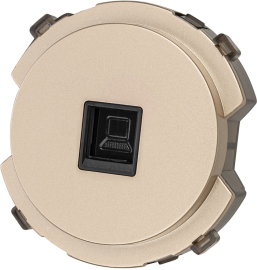 Розетка компьютерная RJ45 Cat.5 (UTP)
Байкал,  одинарная,   цвет - шампань,  пластмасса,  SQ1819-0514,  TDM
 - PULSAL.RU
