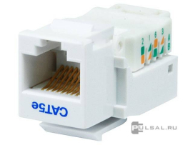 Разъем Modular Jack (тип Keystone/AMP) RJ45 Cat.5e (UTP)
Barcelona,  Madrid,  San Sebastian,  Sevilla,  Toledo,  Vintage Wood,  Vintage Corinto,  Vintage Tapestry,  Vintage Porcelain,  Crystal De Luxe,  Siena,  Firenze,  Granada,  Emporio,  Sanremo,  Marco,  Belle Epoque,  San Sebastian Surface,  Roma Surface,  Smalto italiano,  одинарная,   цвет - белый,  FD-T5-B,  FEDE
 - PULSAL.RU