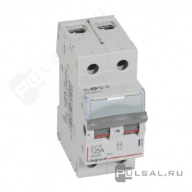 Выключатель-разъединитель DX³, 2 полюса, 125А, 406450, Legrand - PULSAL.RU