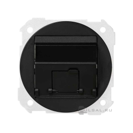 Розетка наклонная RJ45
Simon 88,  одинарная,   цвет - графит,  пластмасса,  88081-38,  Simon
 - PULSAL.RU