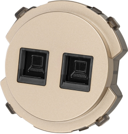 Розетка компьютерная RJ45 Cat.5 (UTP)
Байкал,  двойная,   цвет - шампань,  пластмасса,  SQ1819-0516,  TDM
 - PULSAL.RU