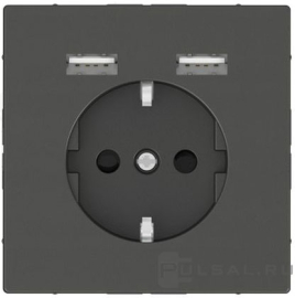 Розетка USB A+A, 2.4А с электрической розеткой
D-Life,  USB type-A 5V,  Электр. с USB,  двойная,   цвет - антрацит,  пластмасса,  MTN2366-6034,  MEG2366-6034,  Merten
 - PULSAL.RU