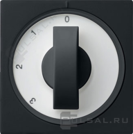 Накладка поворотного выключателя
Studio,  E2,  Esprit,  ClassiX,  ClassiX Art,   цвет - черный матовый,  пластмасса,  0669005,  0669 005,  Gira
 - PULSAL.RU