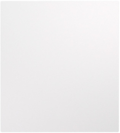 Кнопка Н.О.
Miele Strong,  одноклавишный,   цвет - жемчуг,  пластмасса,  KR-78-0712-4,  Kranz
 - PULSAL.RU